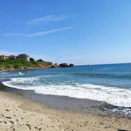 Inesa * ツァレヴォ