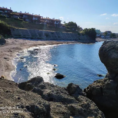 Inesa تساريفو