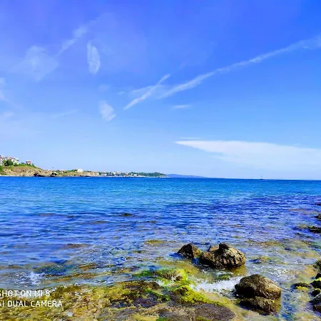 Inesa * تساريفو